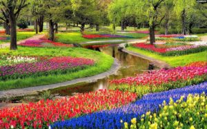 Keukenhof, Lisse, Netherlands