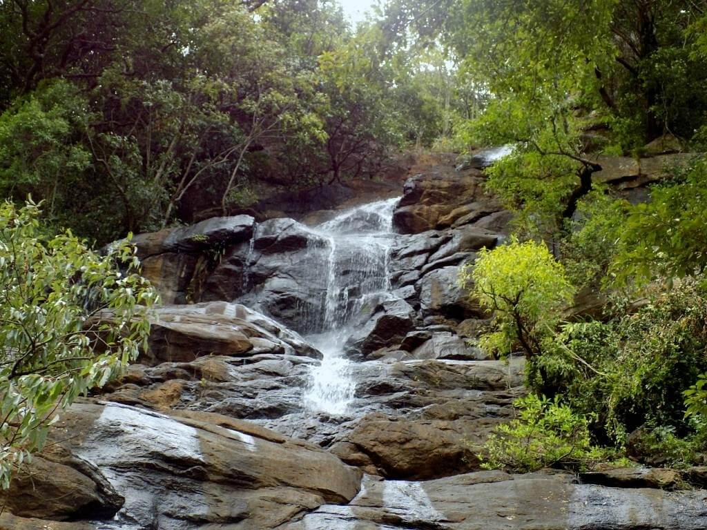 Kiliyur Falls Yercaud Tamil Nadu