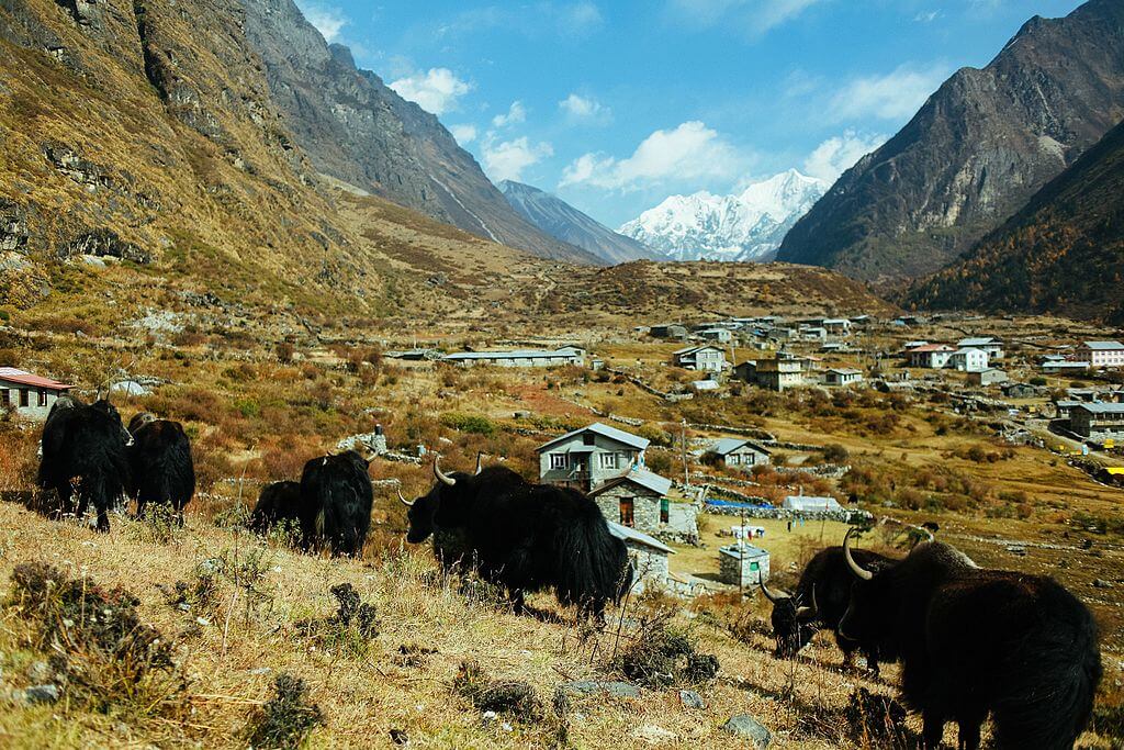 Langtang National Park, Nepal