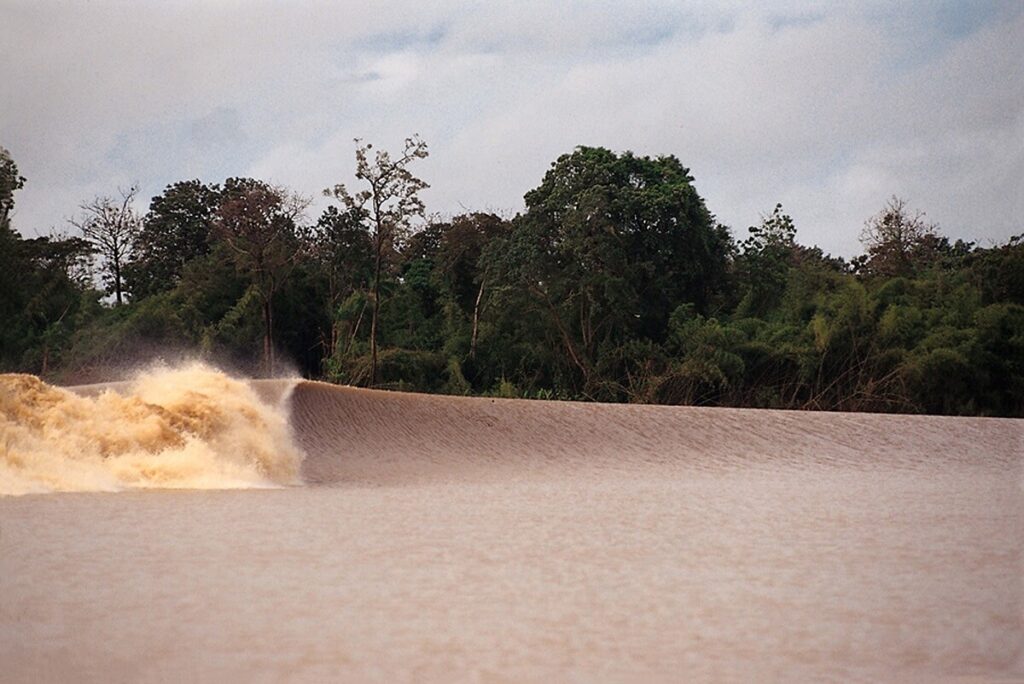 Pororoca Amazon River Wave South America
