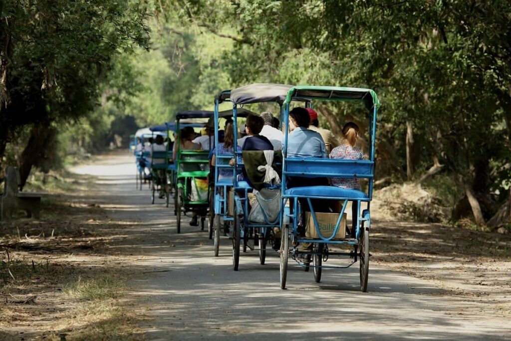 Rickshaw Ride Bharatpur National Park Rajasthan
