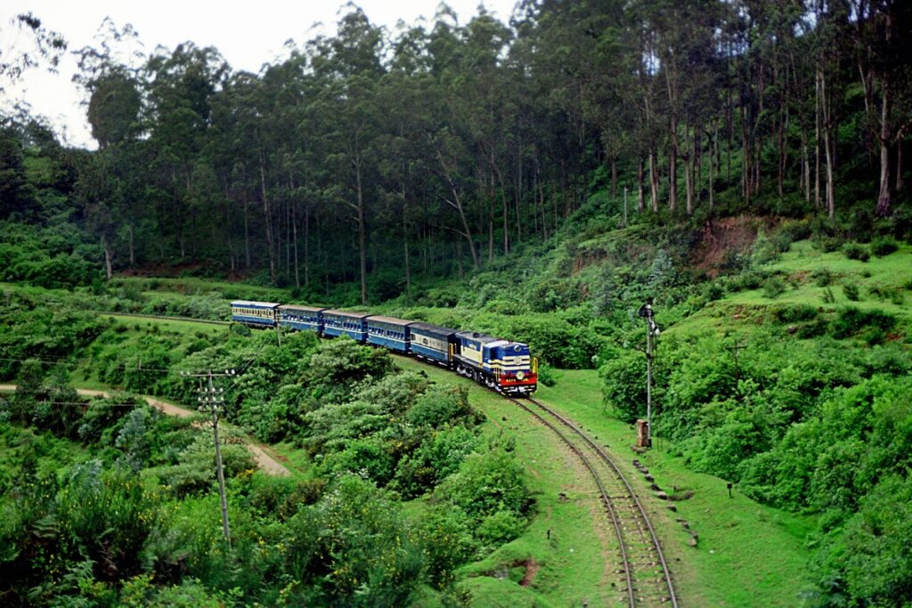 Things to Do in Ooty, Tamil Nadu