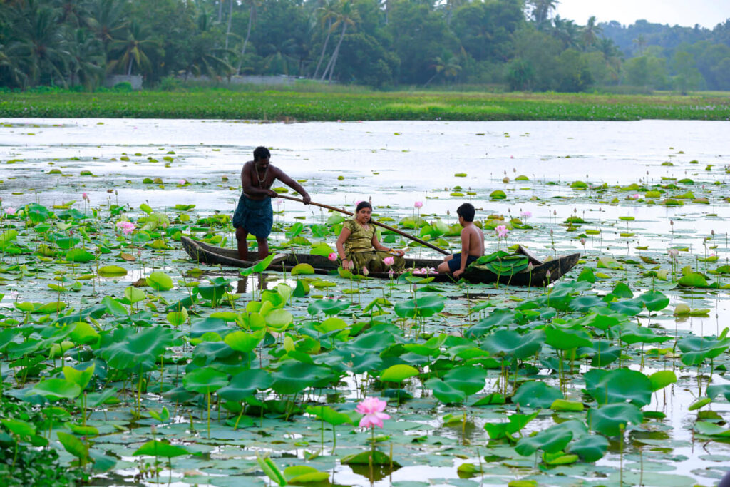 Vellayani Lake Kovalam Kerala