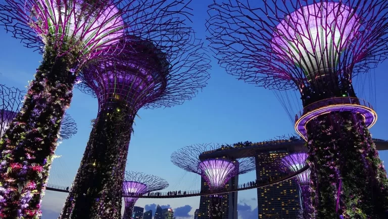 cegoh-singapore