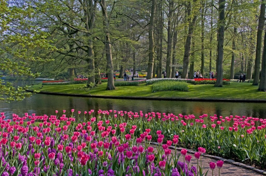 Keukenhof, Lisse, Netherlands