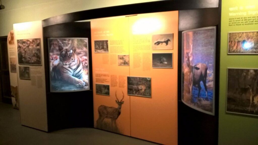 Baghel Museum Bandhavgarh Madhya Pradesh