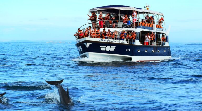 Best Places for Whale Watching in Sri Lanka