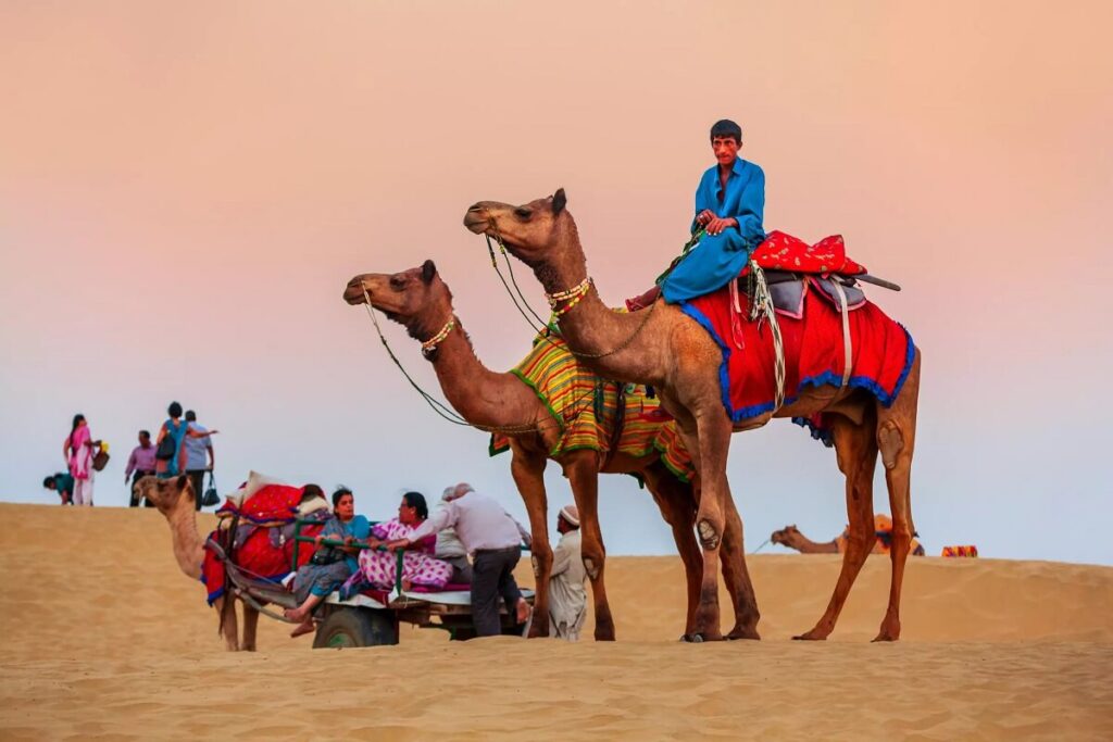 Camel Safari in Jaisalmer Rajasthan