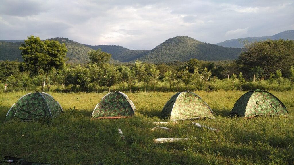 Camping Bandipur Nationak Park Karnataka