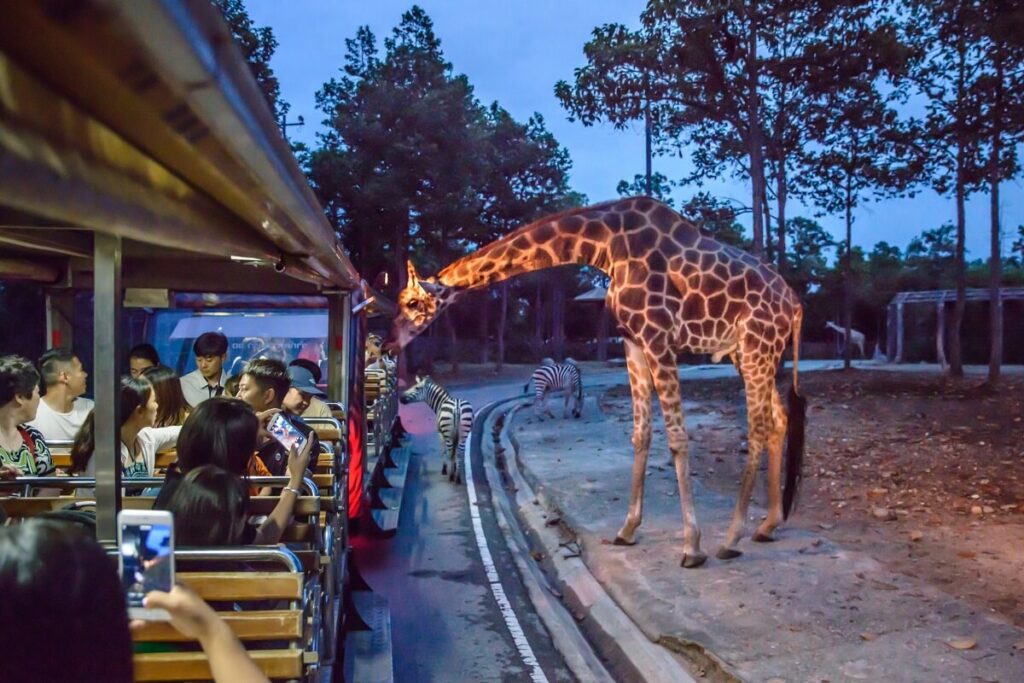 Chiang Mai Night Safari Thailand