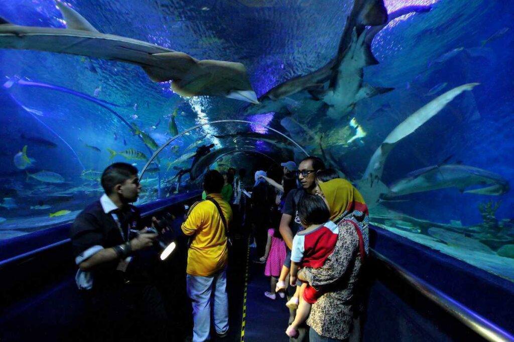 Dive into the Depths at Aquaria KLCC Kuala Lumpur Malaysia