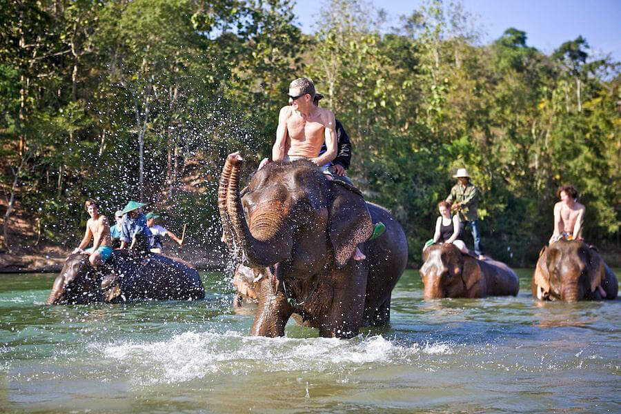 Elephant Adventures in Laos