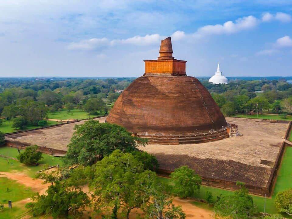 Ghostly Grove of Anuradhapura Sri Lanka
