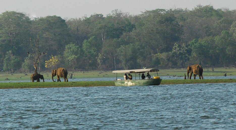 Kabini River Karnataka