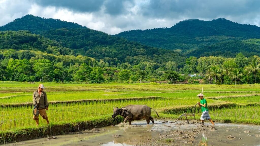 Laos Living Land Organic Farm Experience