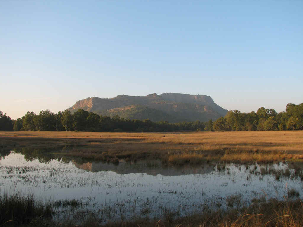 Mahaman Pond Bandhavgarh Madhya Pradesh
