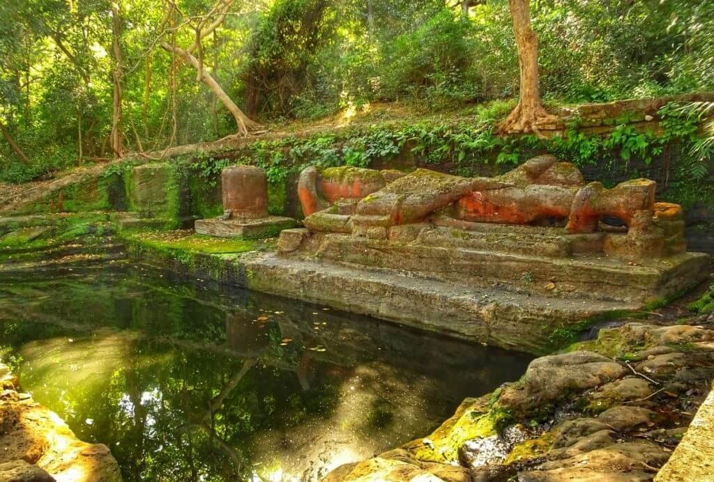 Mystical Shesh Shaiya Bandhavgarh Madhya Pradesh