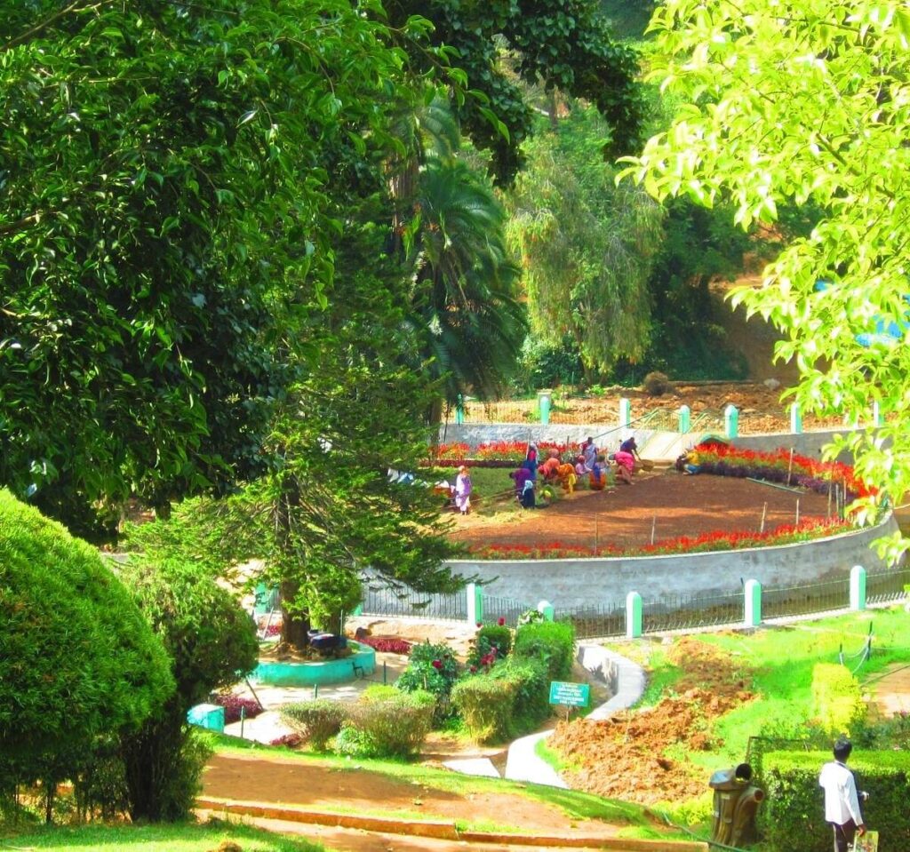 Sim Park Coonoor Tamil Nadu