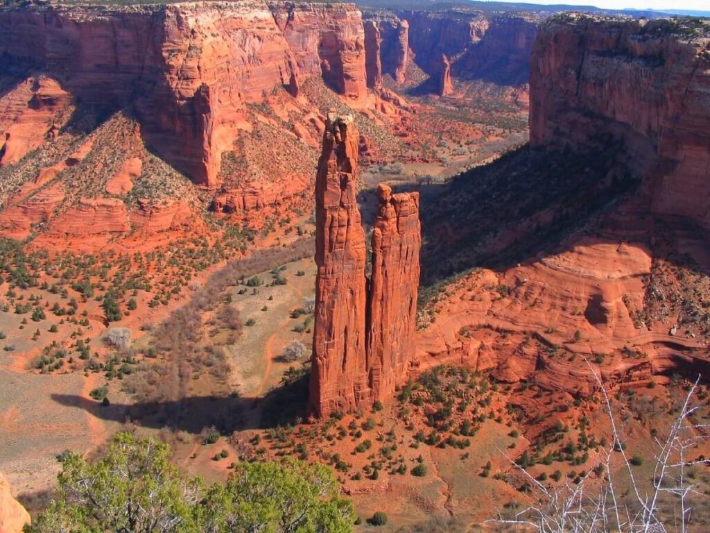 Spider Rock USA