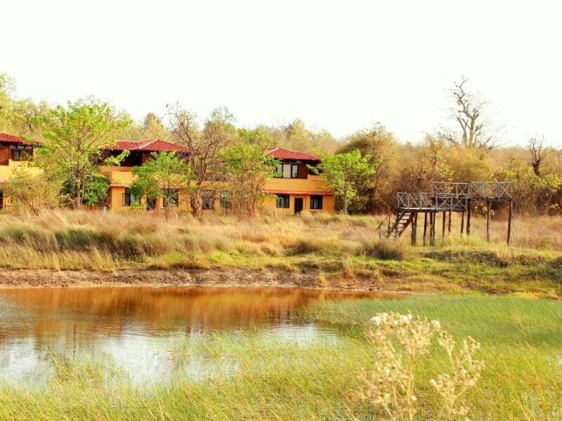 Tala Village Bandhavgarh Madhya Pradesh
