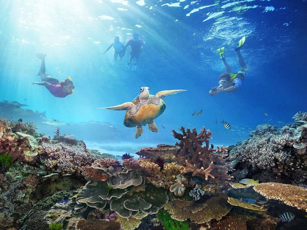 The Great Barrier Reef Australia’s