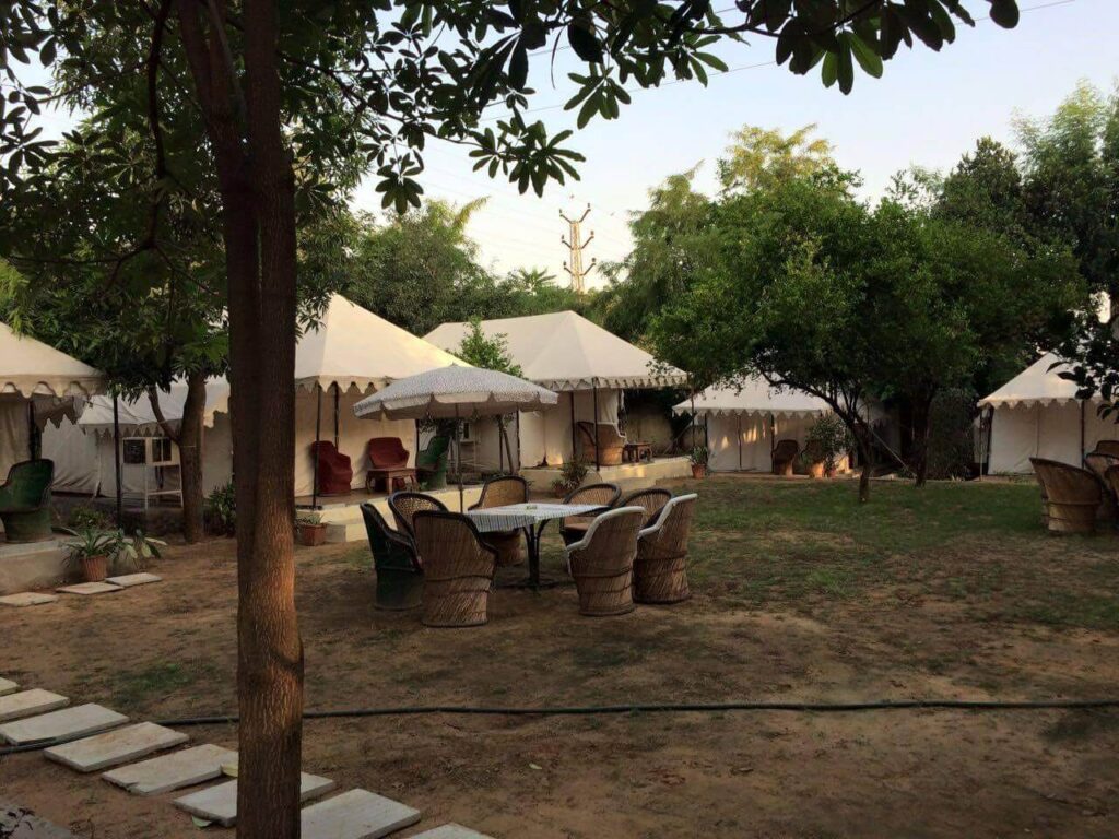 Camping in Ranthambore Rajasthan