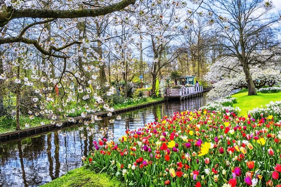 During Spring Keukenhof Gardens, Netherlands