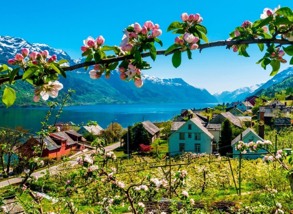 During Spring Sognefjord, Norway