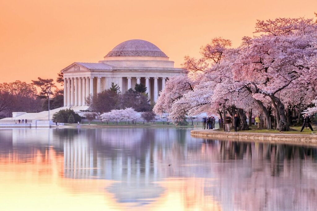 During Spring Washington, D.C., USA