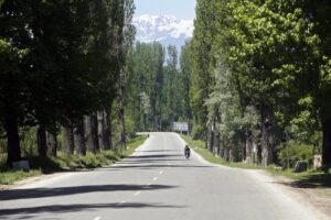 Himachal Pradesh Embraces the National Transit Pass System: A Leap Towards Sustainable Forest Management Introduction: A Pioneering Move Himachal Pradesh is on the brink of a transformative change, gearing up to be the sixth Indian state to adopt the National Transit Pass System. This move promises to reshape the way permits and authorizations are managed, particularly concerning the transport and trade of forest products. The National Transit Pass System: A Digital Revolution • What is it? A digital platform designed to accelerate the permit issuance process, ensuring efficiency and transparency in the forest department's operations. • Track Record: The system has already been successfully implemented in five other Indian states, showcasing its effectiveness and reliability. A Visionary Leader: Chief Minister Sukhvinder Singh Sukhu Chief Minister Sukhu has been instrumental in championing this initiative. He believes that the system will not only benefit the forest industry but also play a pivotal role in sustainable resource management and environmental conservation. Key Features of the System: • Simplified Processes: The system aims to ease the application, issuance, and approval processes, drastically cutting down on paperwork and bureaucratic hurdles. • Transparency Boost: With all procedures being electronic, stakeholders can access data instantly, ensuring the lawful transportation of forest products. • Enhanced Monitoring: The digital platform empowers the forest department to vigilantly oversee the movement of forest products, minimizing illegal logging and unauthorized activities. Himachal Pradesh's Commitment to Sustainability: • Relaxed Export Restrictions: The state has liberalized export constraints on various wood types, including Safeda, Poplar, Bamboo, and Kuth. • Market Expansion: Opportunities have been created to introduce more forest products to the market, benefiting local farmers and businesses. Himachal Pradesh Embraces the National Transit Pass System