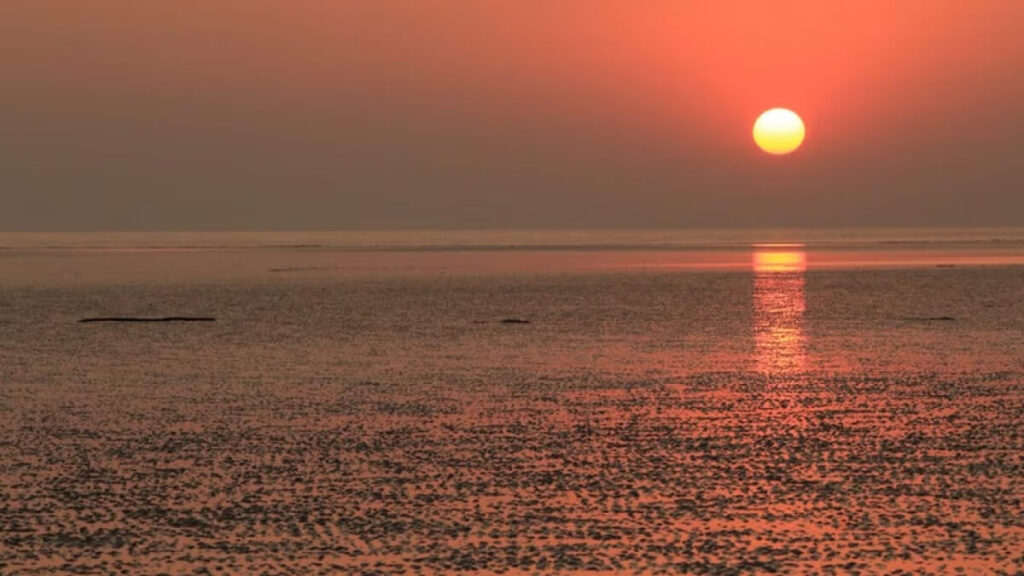 Mandvi Beach Mandvi Gujarat