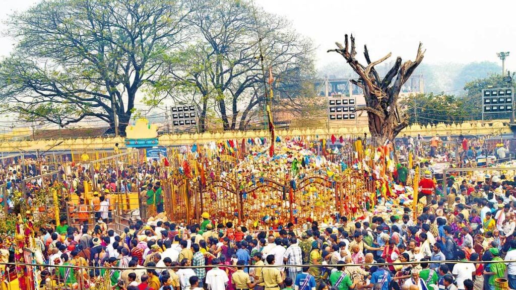 Medaram Jatara (February, Biennially) Telangana