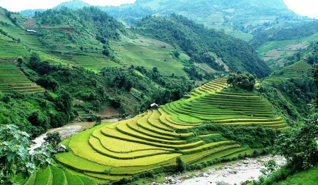 Mu Cang Chai Vietnam