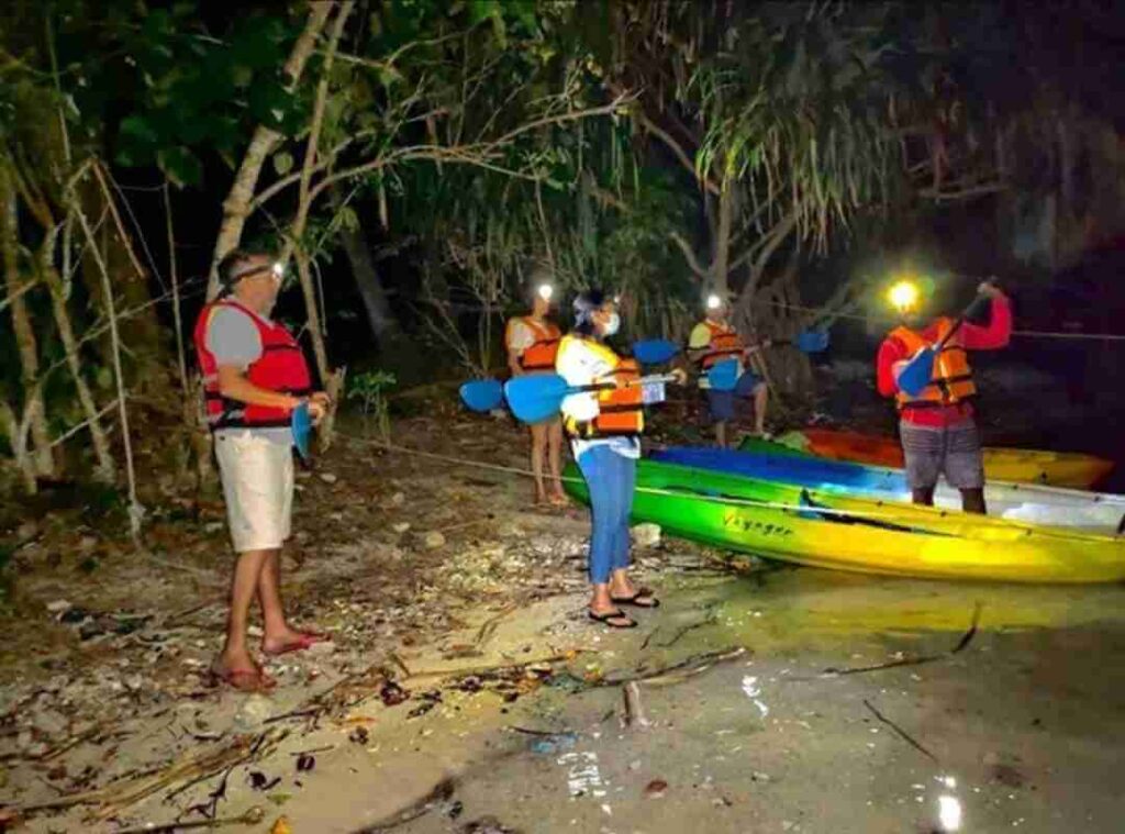 Night Kayaking in Havelock, Andaman