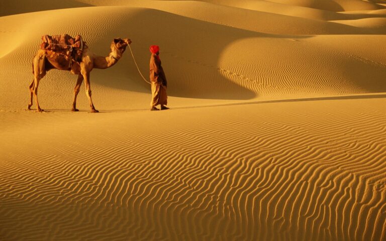 Rajasthan Rise in Tourism Rankings: A Testament to Innovative Strategies