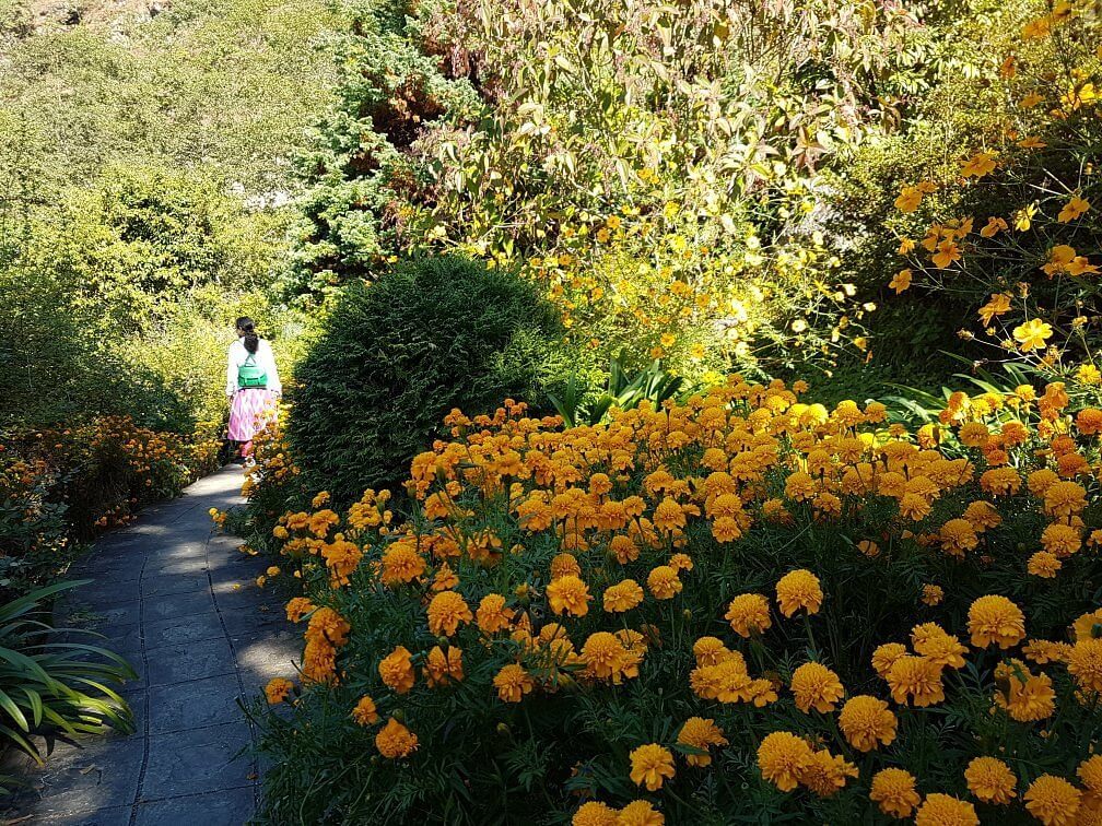 Rock Garden Namchi Sikkim