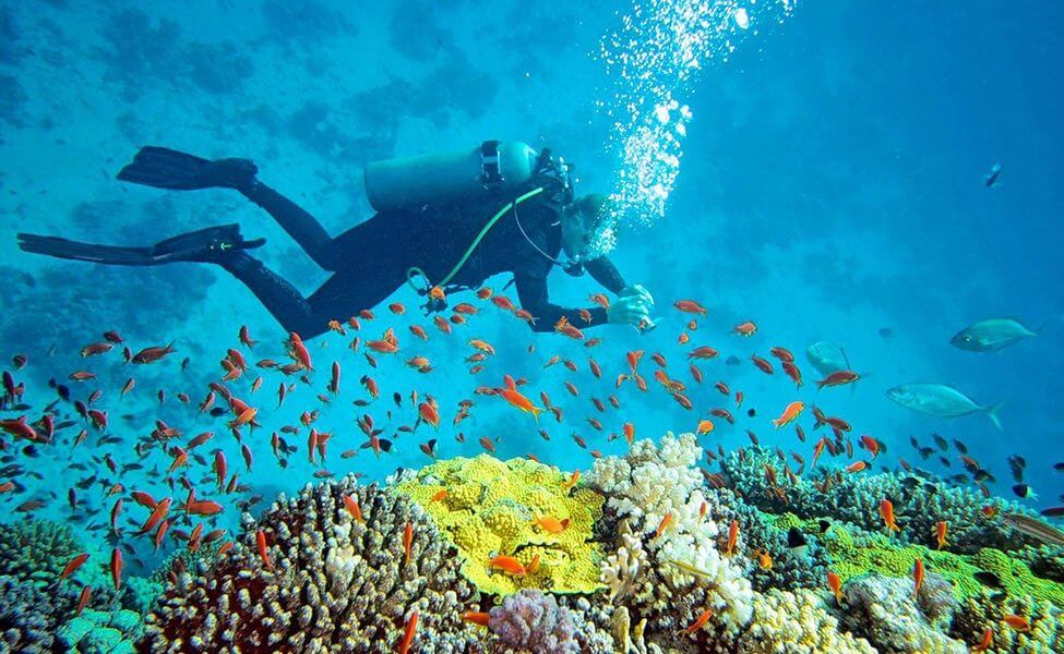 Scuba Diving at Nemo Reef Andaman