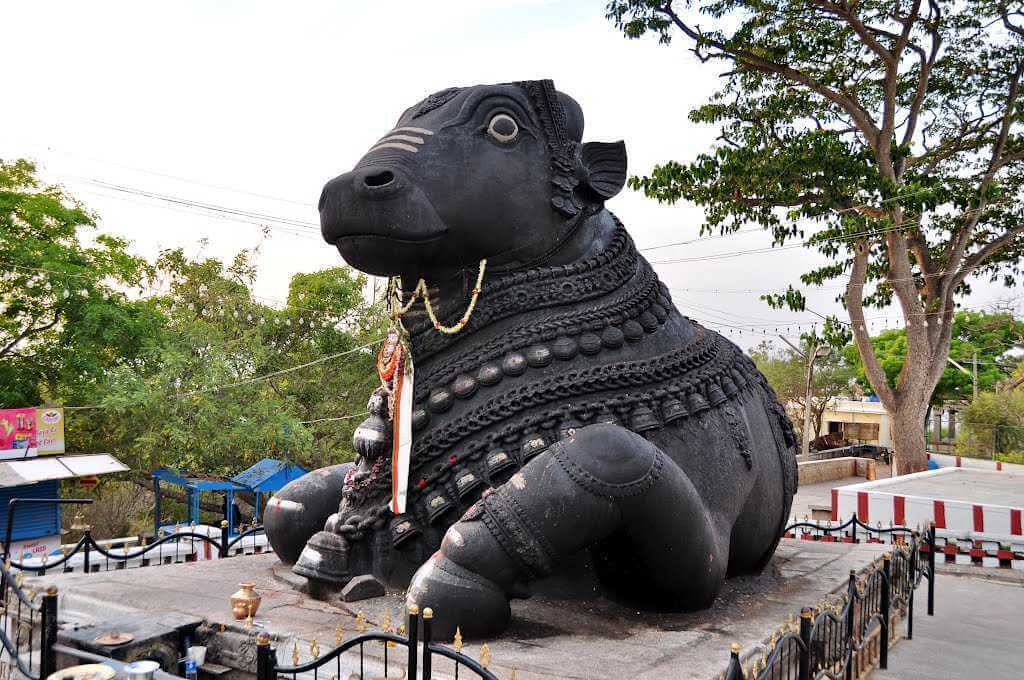 The Bull Temple Bangalore Karnataka