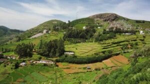 Top 10 Things to Do in Coonoor, Tamil Nadu