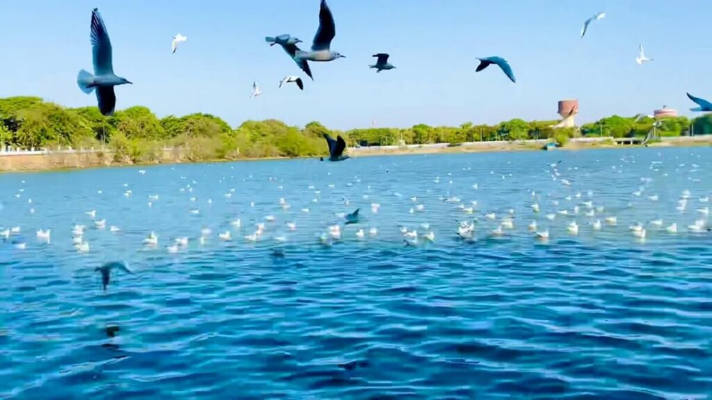 Topansar Lake Mandvi Gujarat