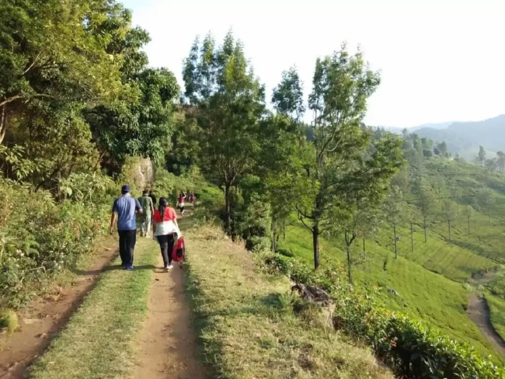Trekking Trails of Coonoor Tamil Nadu