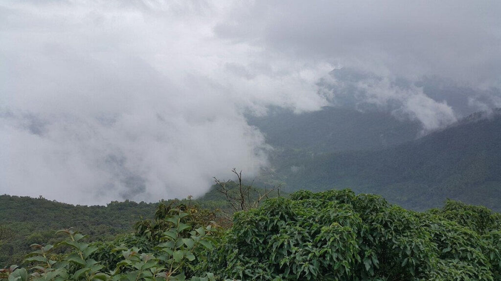 Jamboti Hills and Forests Belgaum Karnataka