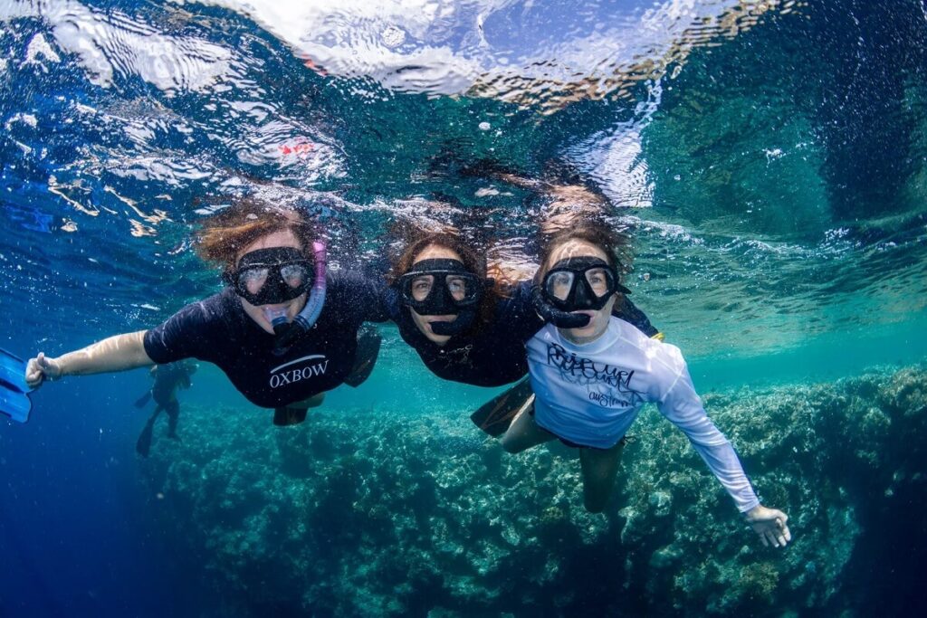 Snorkeling in Menjangan Island and Pemuteran (North Bali) Indonesia
