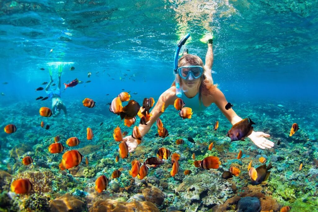 Snorkeling in Nusa Dua Bali Indonesia