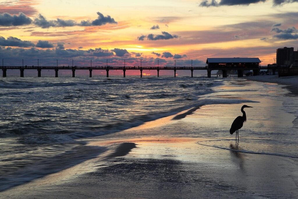 Tithal Beach, Gujarat