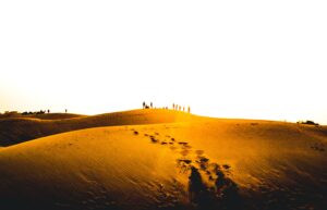 desert safari in rajasthan