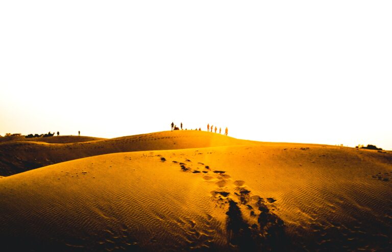 desert safari in rajasthan