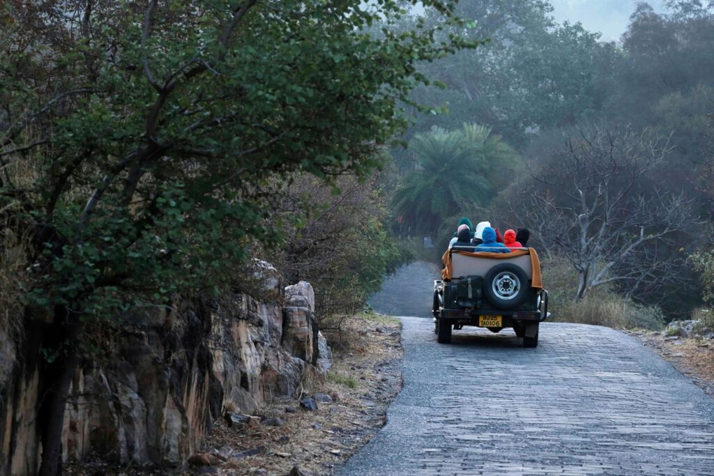 Ranthambhore-national-park-safari-m-scaled