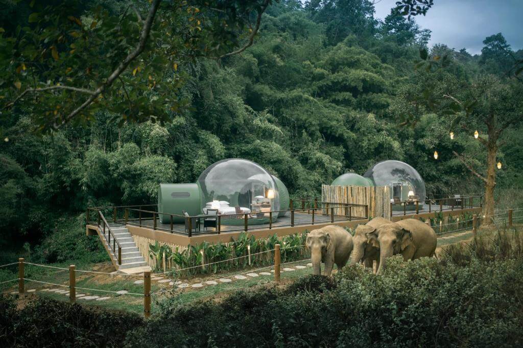 Anantara Golden Triangle Elephant Camp & Resort, Thailand