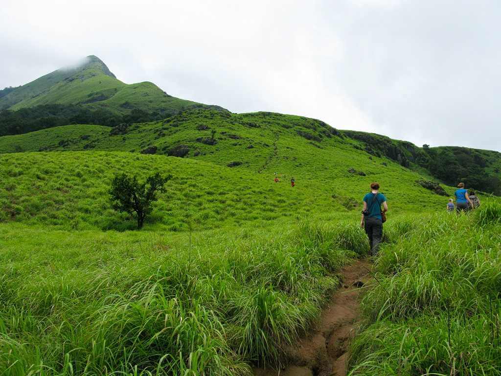 Chembra Peak in Wayanad